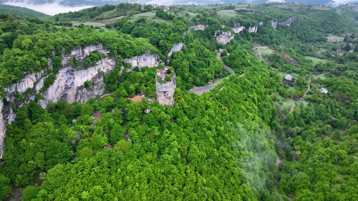 A green forest valley seen from above in morning light