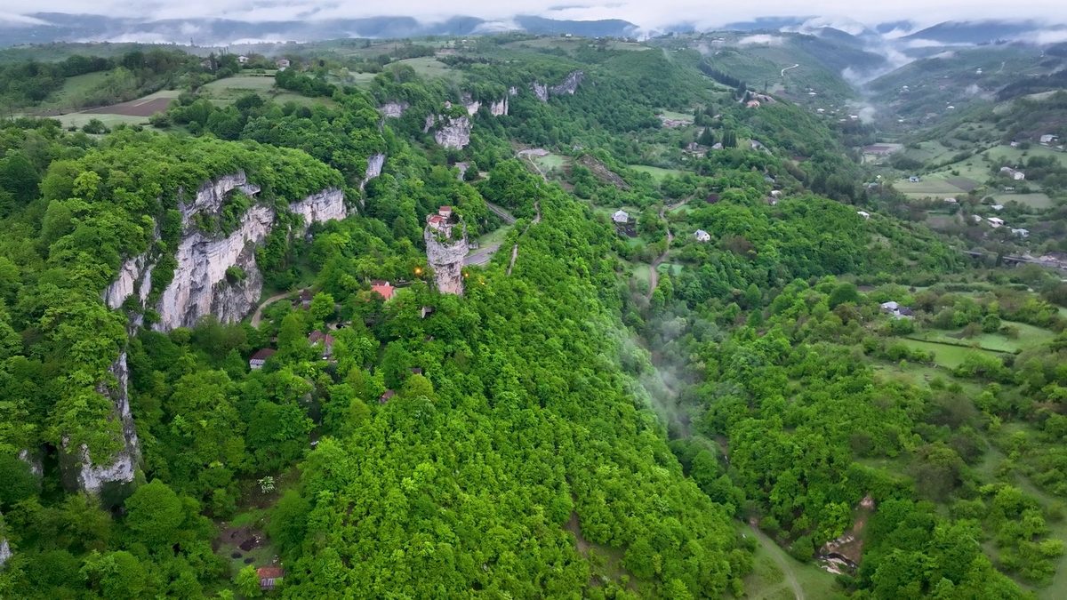 A green forest valley with mist