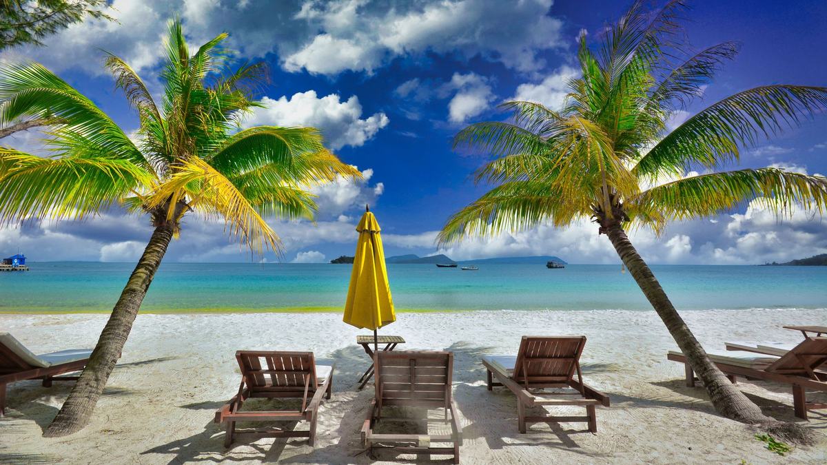 Sun loungers under palm trees on a Koh Rong beach