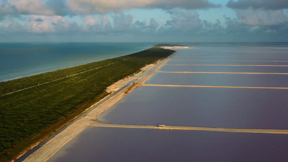 Ponds and a causeway in the late afternoon light