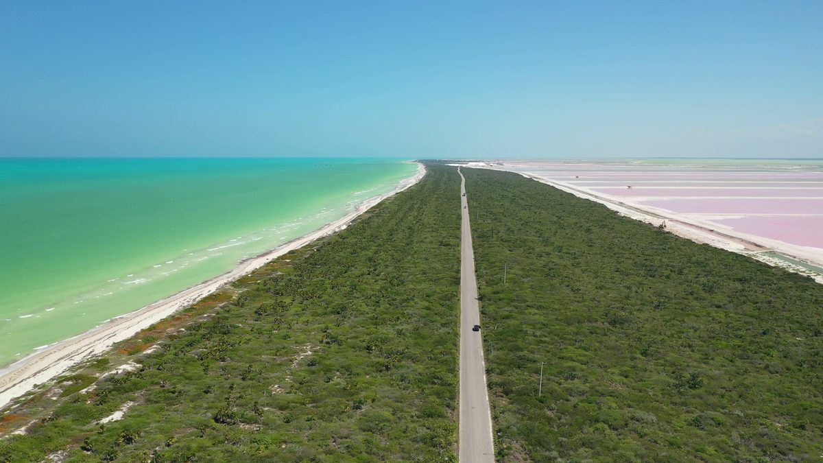 A strip of road between turquoise sea and pink ponds