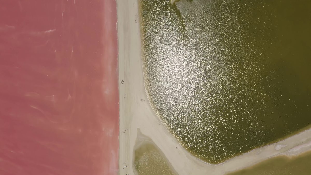 Pale and olive-coloured salt ponds from above