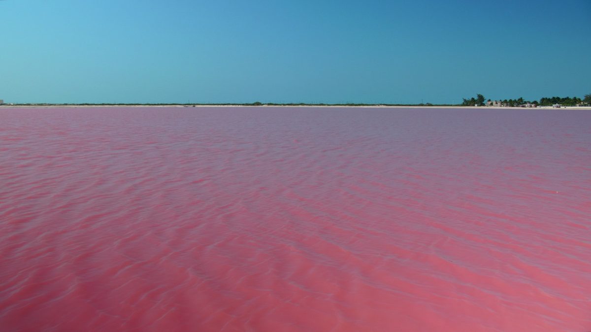 A pink pond with a pale green pond next to it