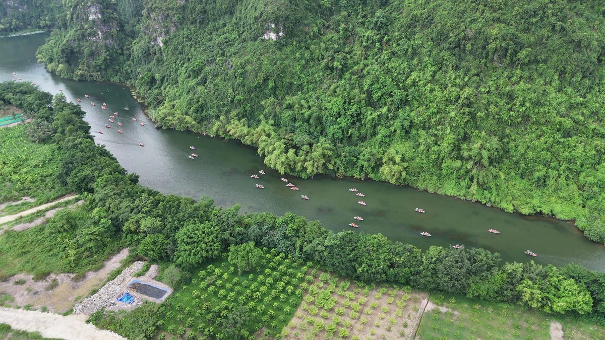 A road through green farmland near Ninh Binh