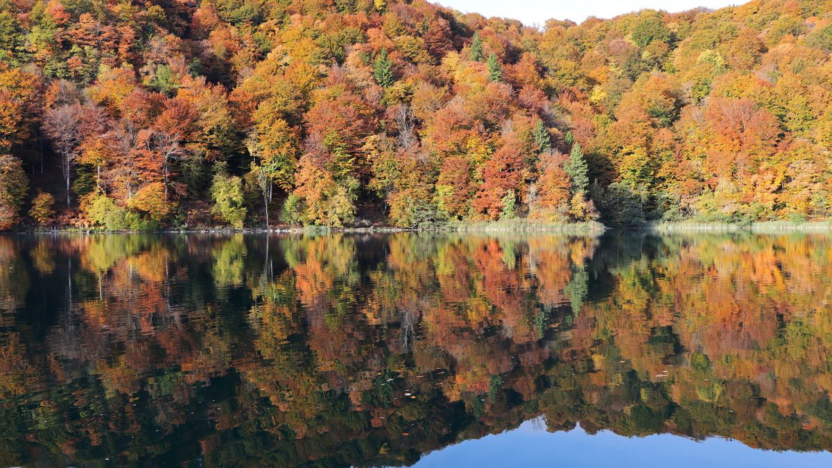 Plitvice Lakes surrounded by autumn colours