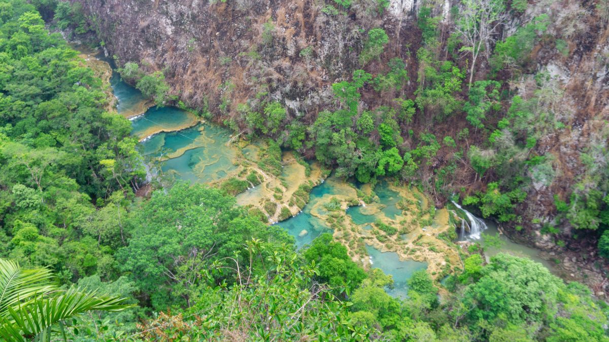 A view over the pools and jungle in the late afternoon