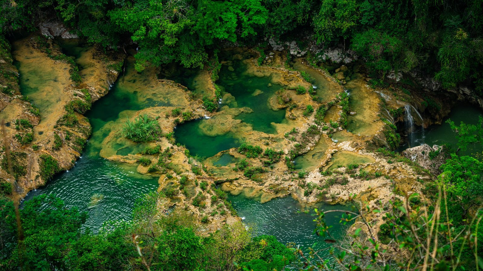 Turquoise stepped pools in the jungle at Semuc Champey
