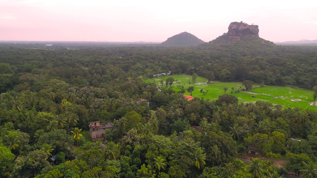 Sigiriya and a nearby hill in the pink light of evening