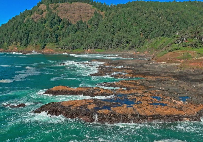 Rocky shore and surf below the forested headland