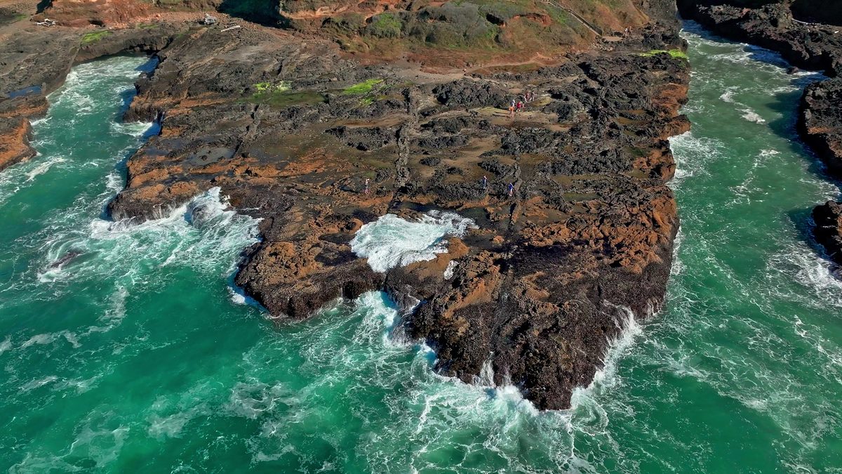 Green surf breaking over rocks at the foot of a forested headland