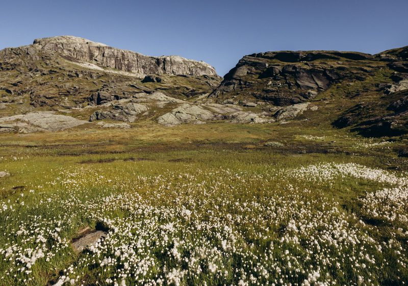 The rocky plateau on the hike to Trolltunga
