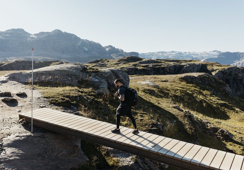 Hikers on the trail above the fjord