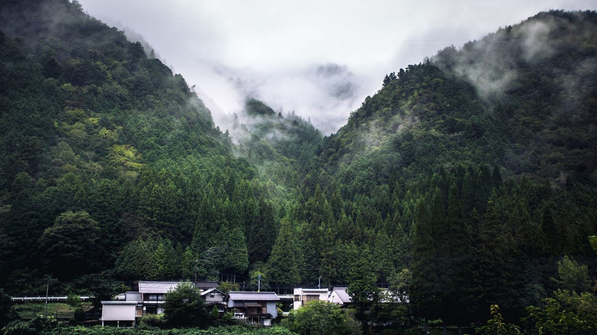 Morning mist over the forest around Yamadera