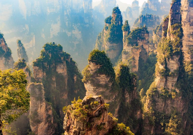 Golden light on tall sandstone pillars