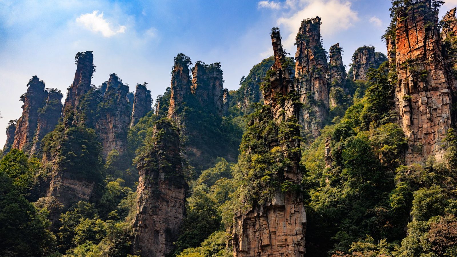 Tall sandstone pillars covered in trees under a blue sky in Zhangjiajie