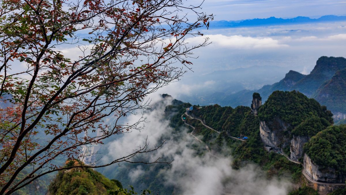 Autumn leaves and mist over a mountain road