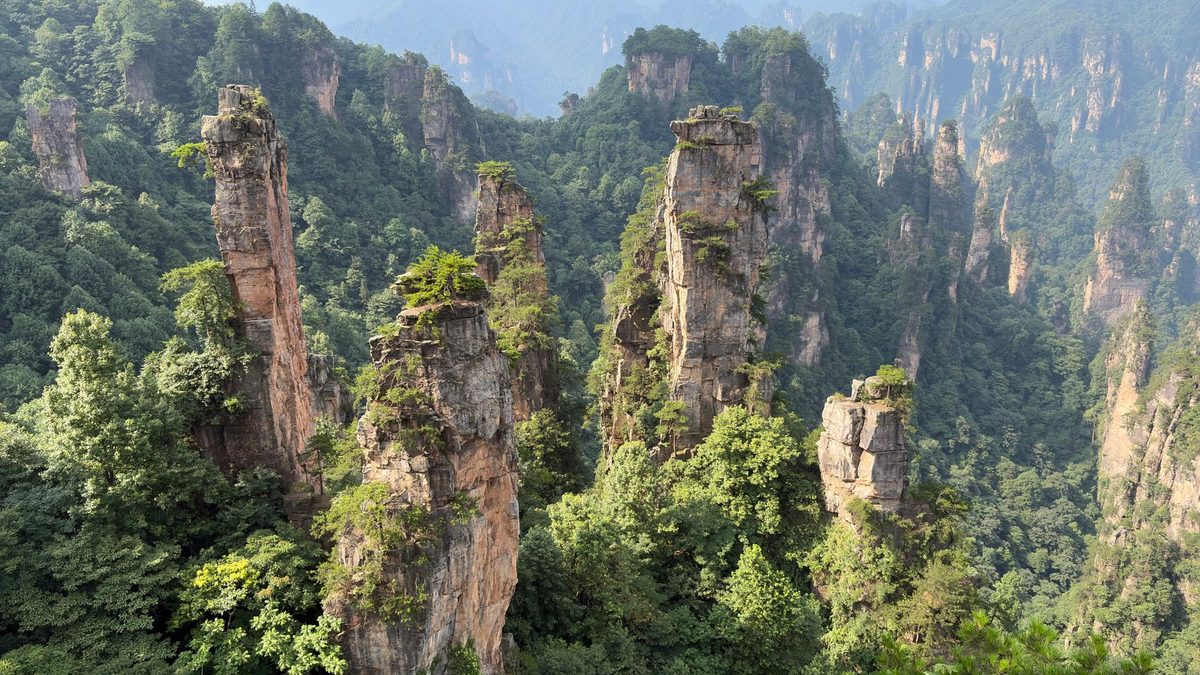 Tall sandstone pillars covered in trees